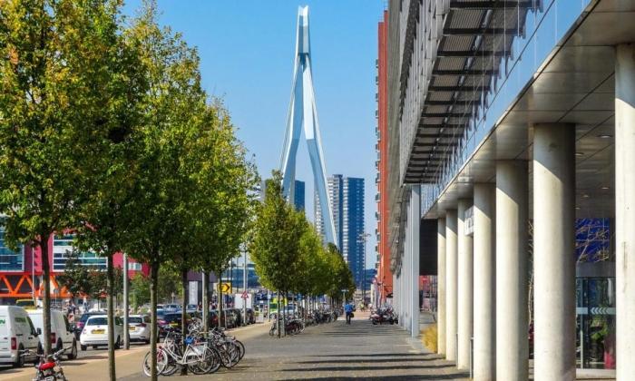 3-30-300 vuistregel en mentale gezondheid: verband blijft onduidelijk